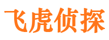 班戈市婚外情调查